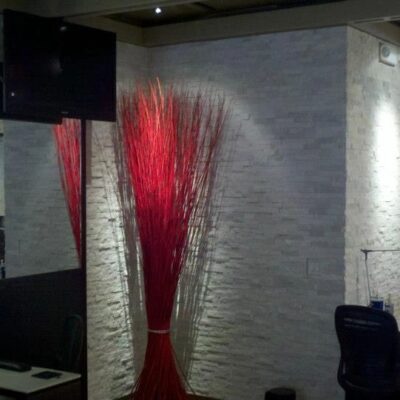 Dark furnishings contrasting with lighter salon walls